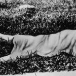 The Black Dahlia Kasus Pembunuhan Sereta Perampokan Paling Sadis